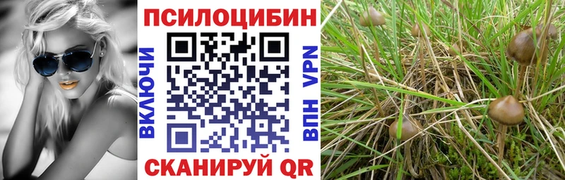 Галлюциногенные грибы Magic Shrooms  Крым 